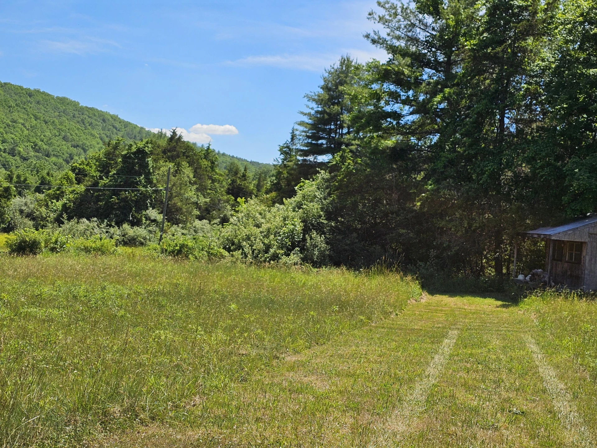 2105 Coles Mountain Rd - Photo 11