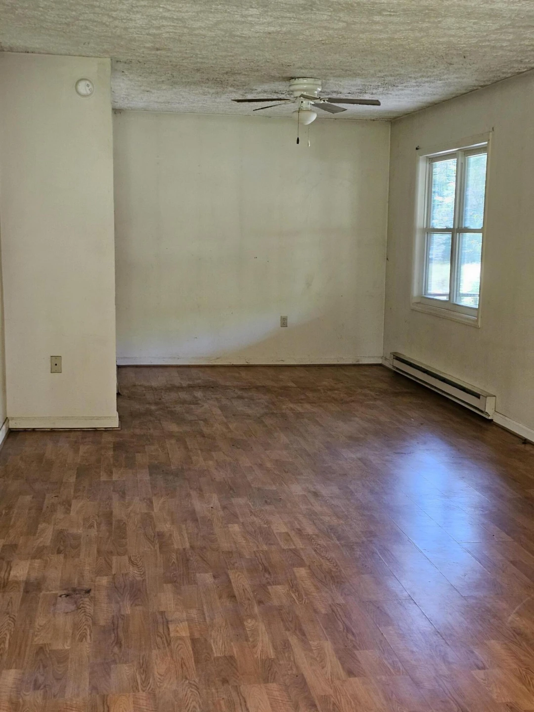 2105 Coles Mountain Rd - Photo 13