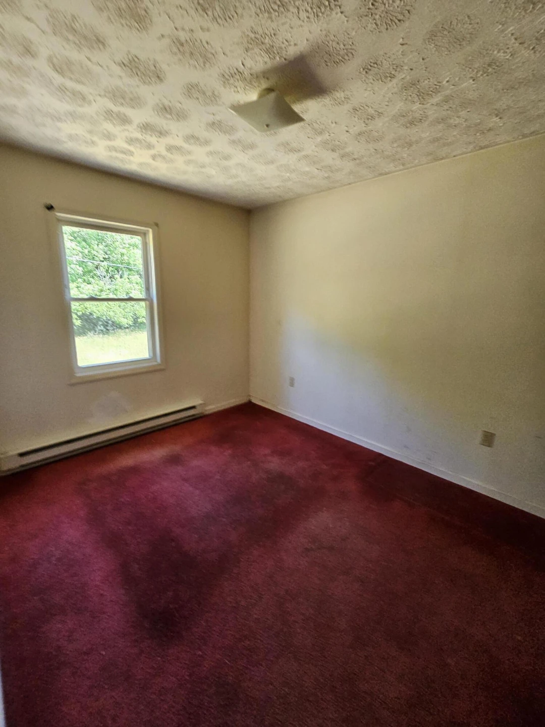 2105 Coles Mountain Rd - Photo 28