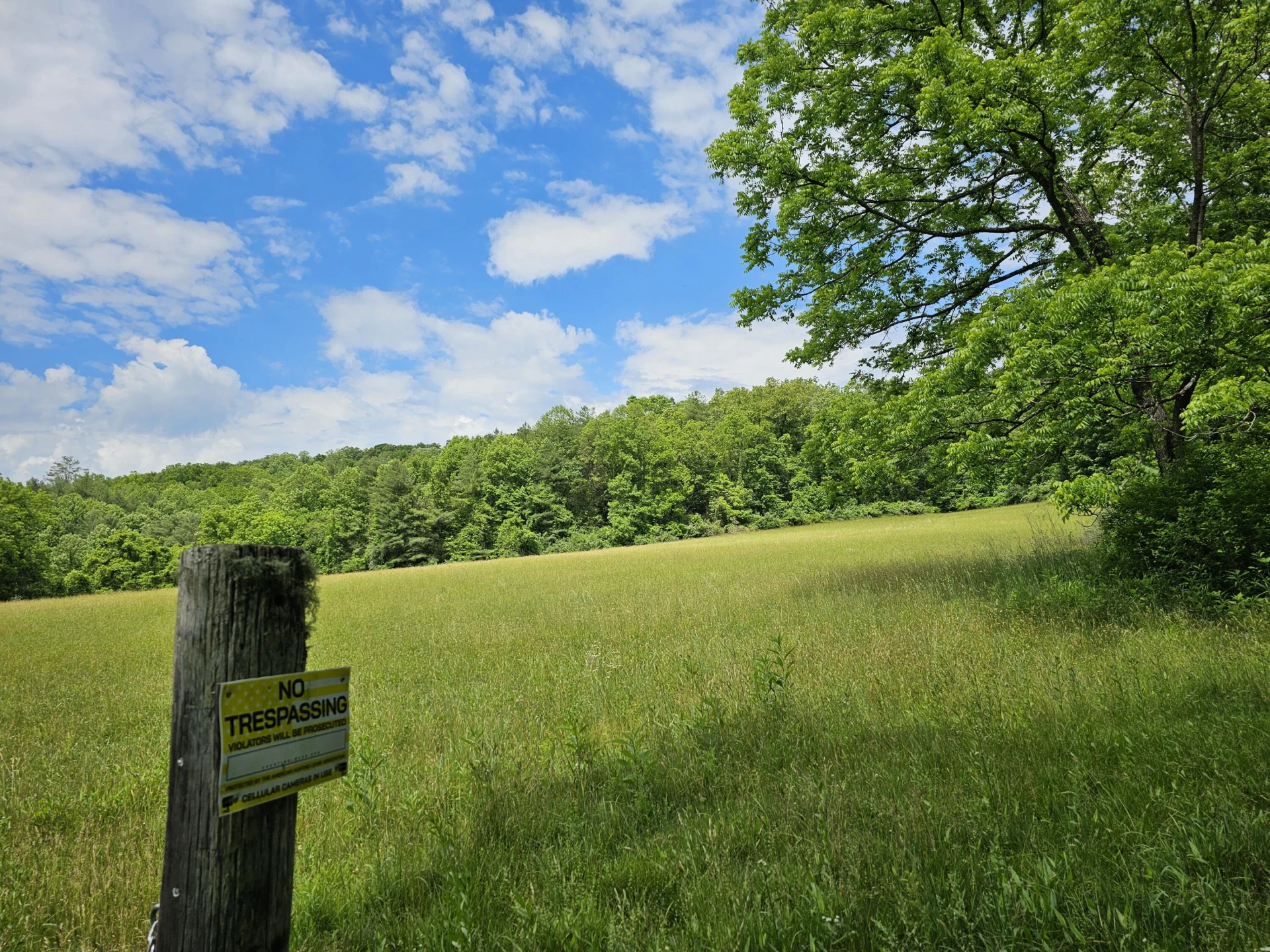 2105 Coles Mountain Rd - Photo 3