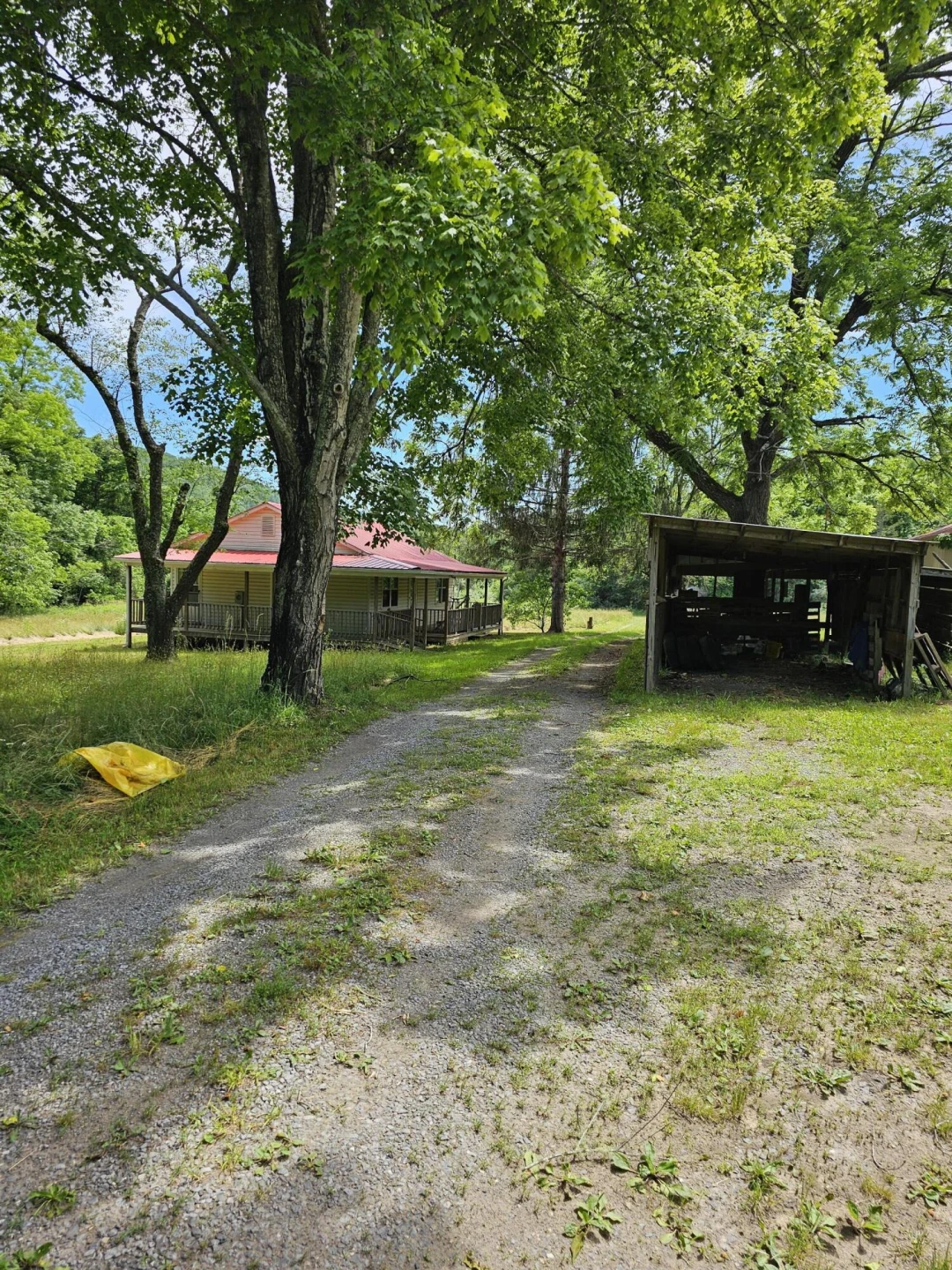 2105 Coles Mountain Rd - Photo 32