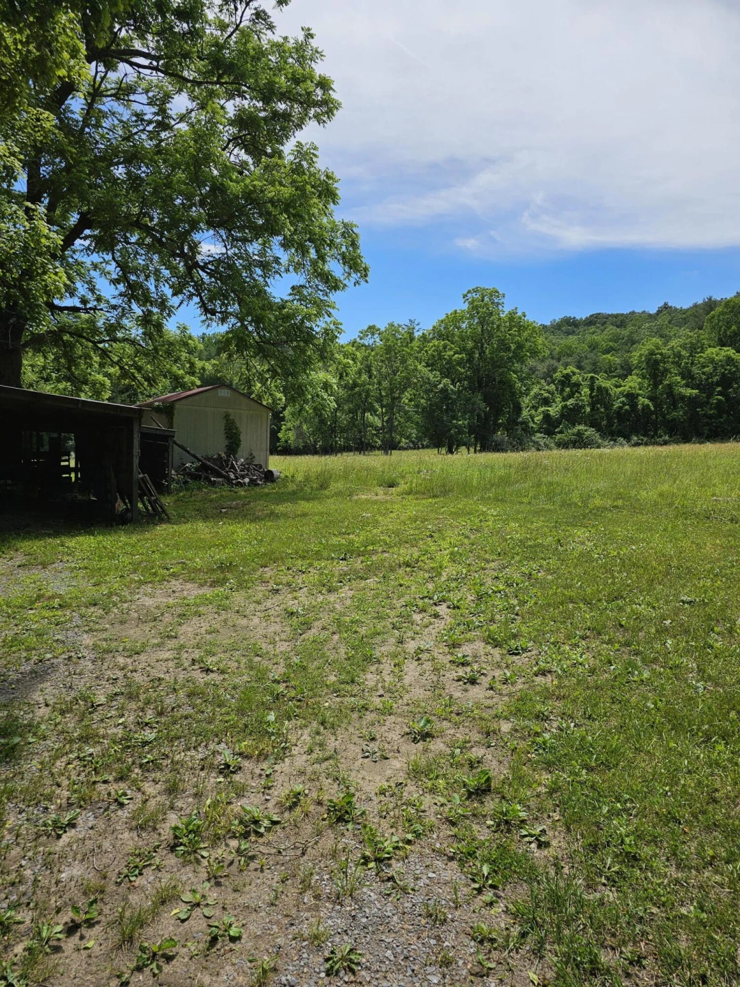 2105 Coles Mountain Rd - Photo 34