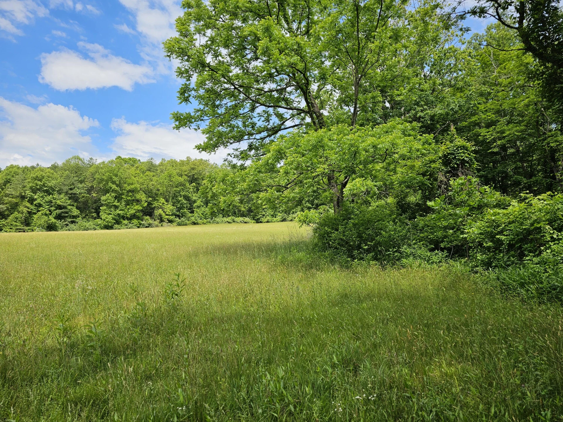 2105 Coles Mountain Rd - Photo 35
