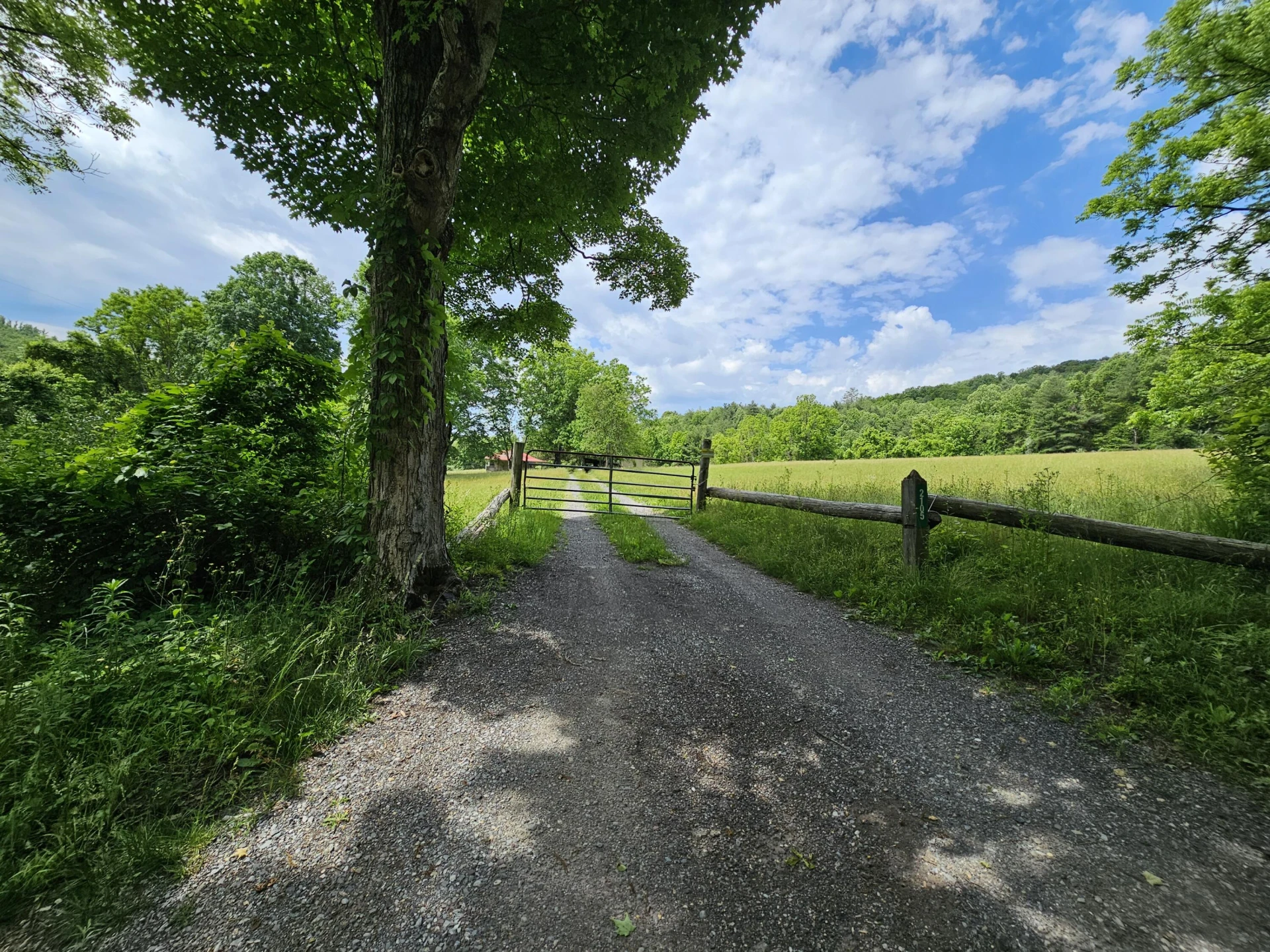 2105 Coles Mountain Rd - Photo 36