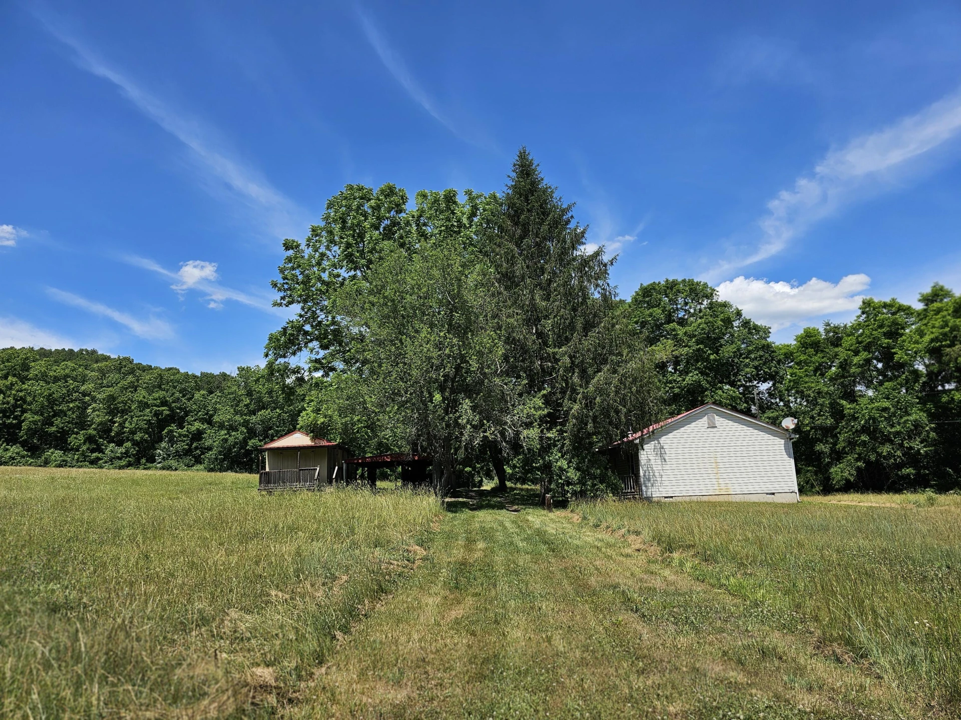 2105 Coles Mountain Rd - Photo 4