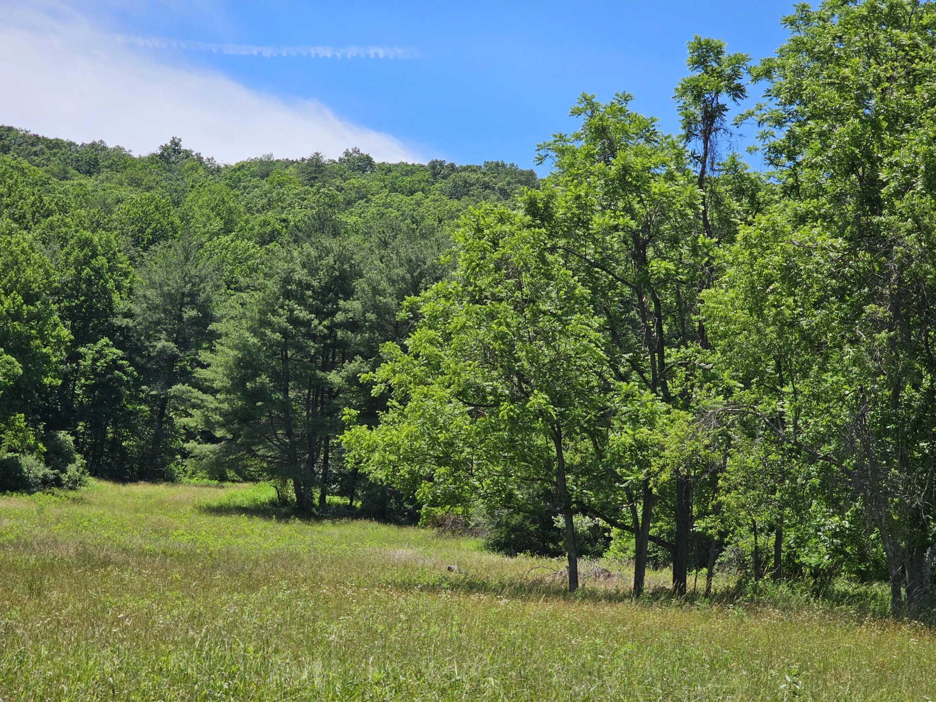 2105 Coles Mountain Rd - Photo 41