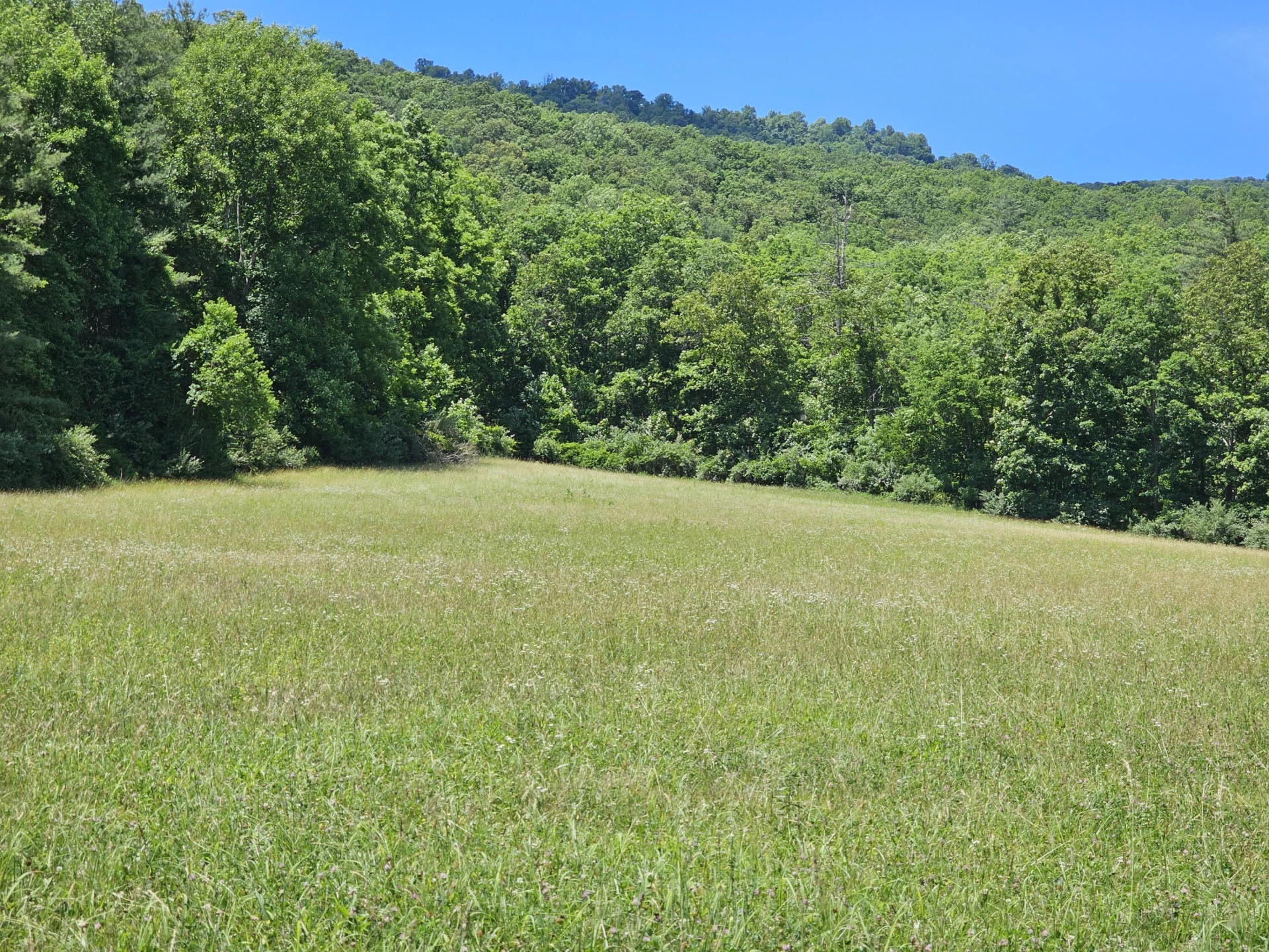 2105 Coles Mountain Rd - Photo 42