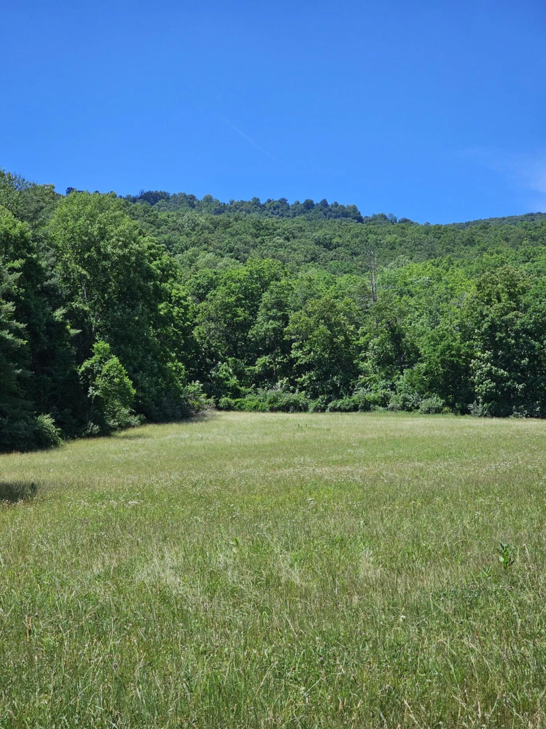 2105 Coles Mountain Rd - Photo 43