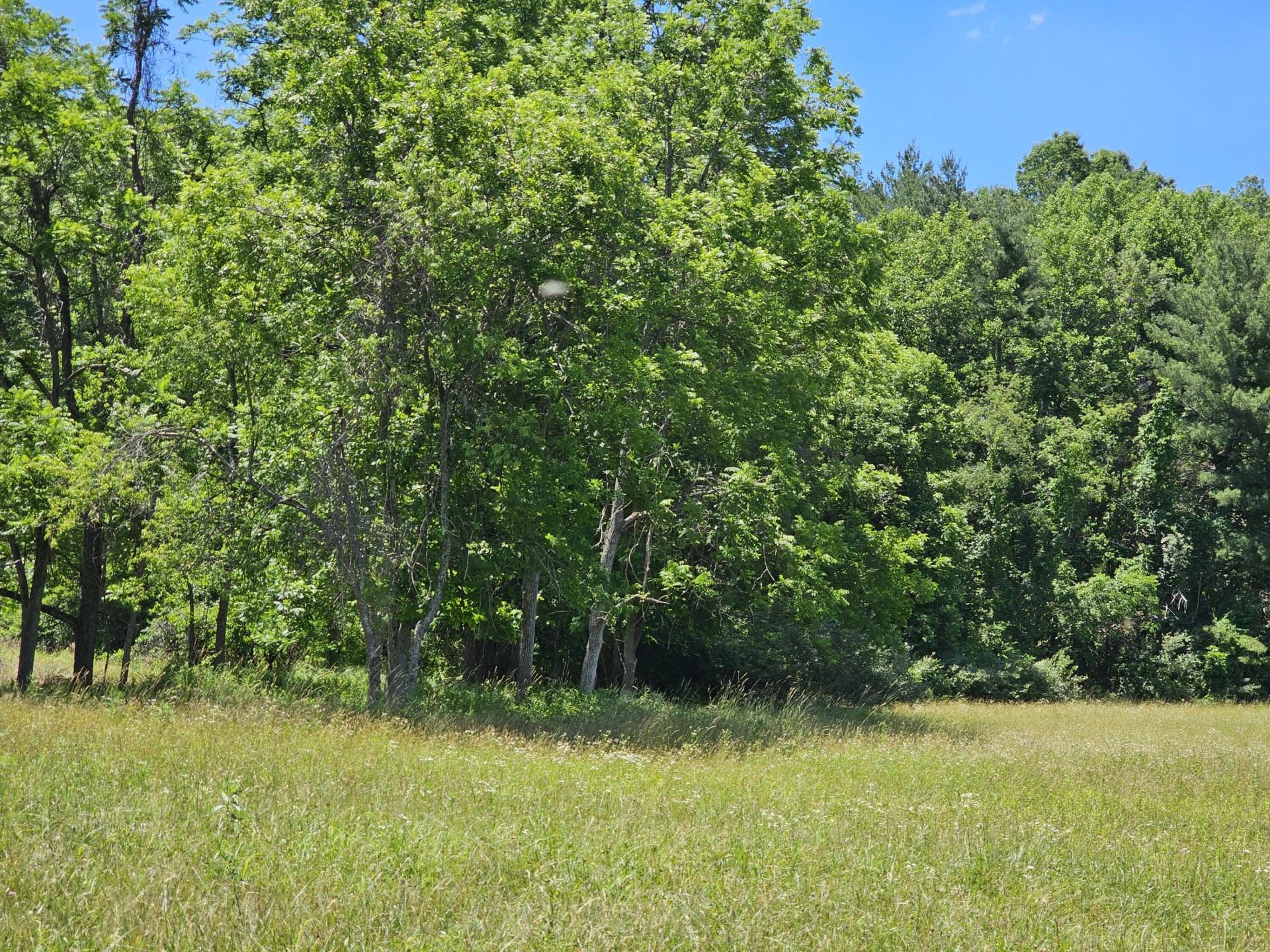 2105 Coles Mountain Rd - Photo 44