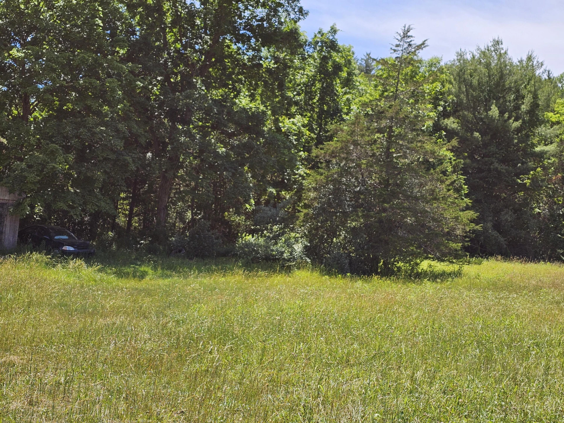 2105 Coles Mountain Rd - Photo 45