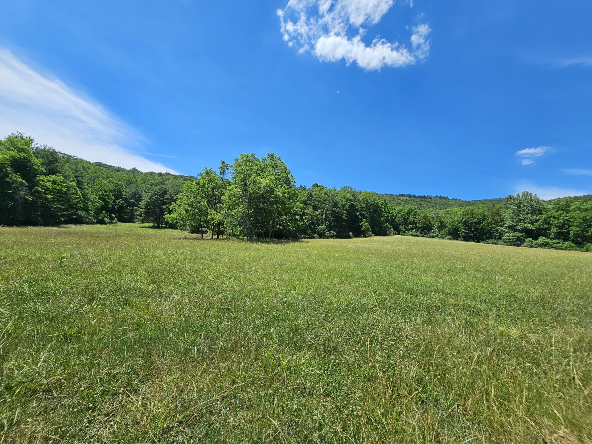 2105 Coles Mountain Rd - Photo 46