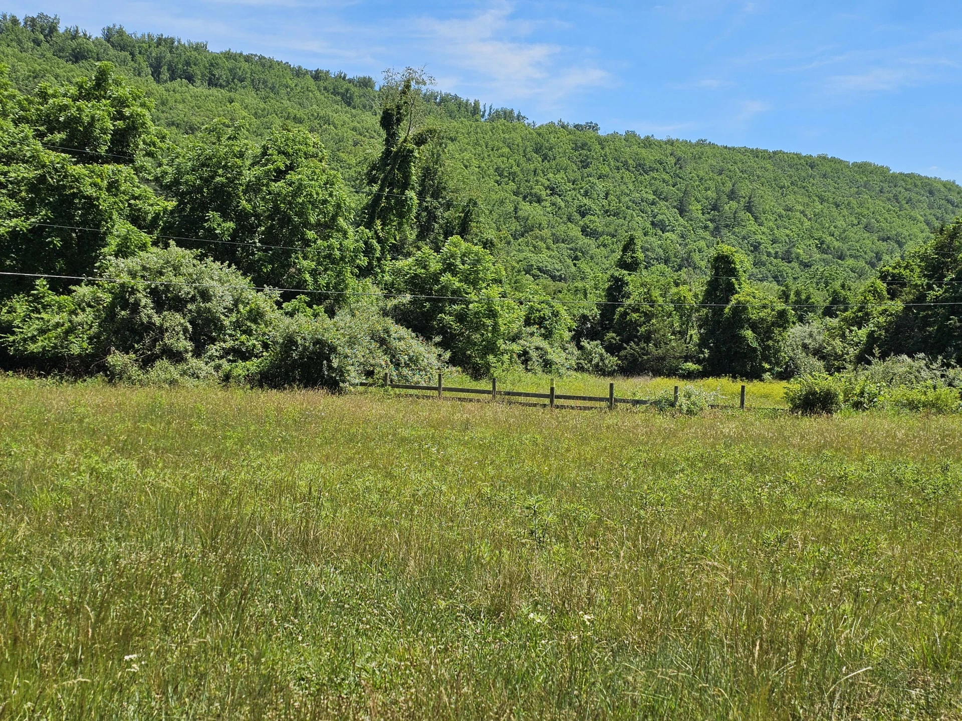 2105 Coles Mountain Rd - Photo 5