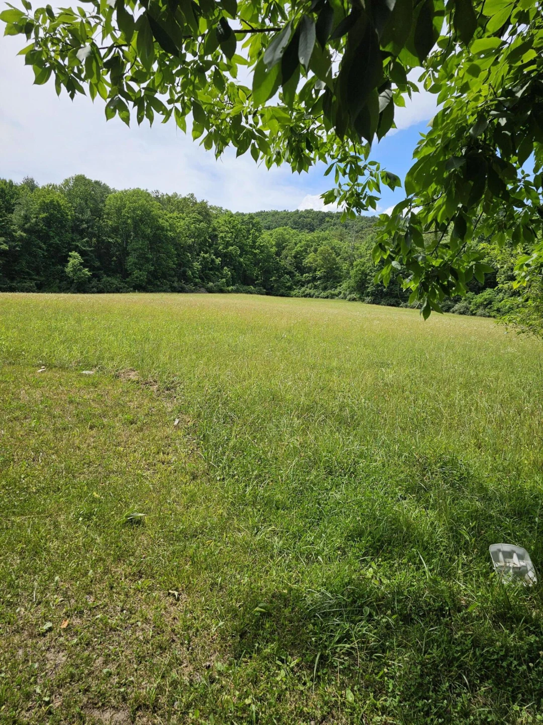 2105 Coles Mountain Rd - Photo 50