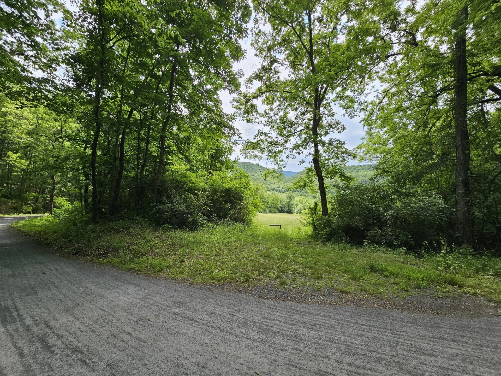 2105 Coles Mountain Rd - Photo 51