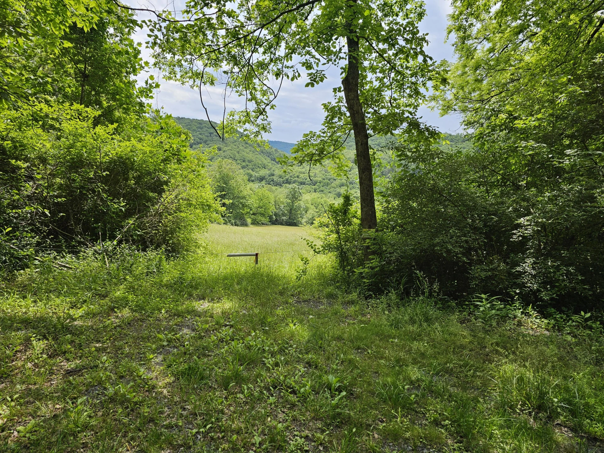 2105 Coles Mountain Rd - Photo 52