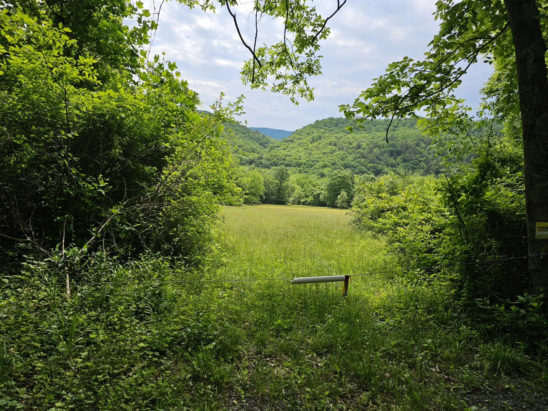 2105 Coles Mountain Rd - Photo 53