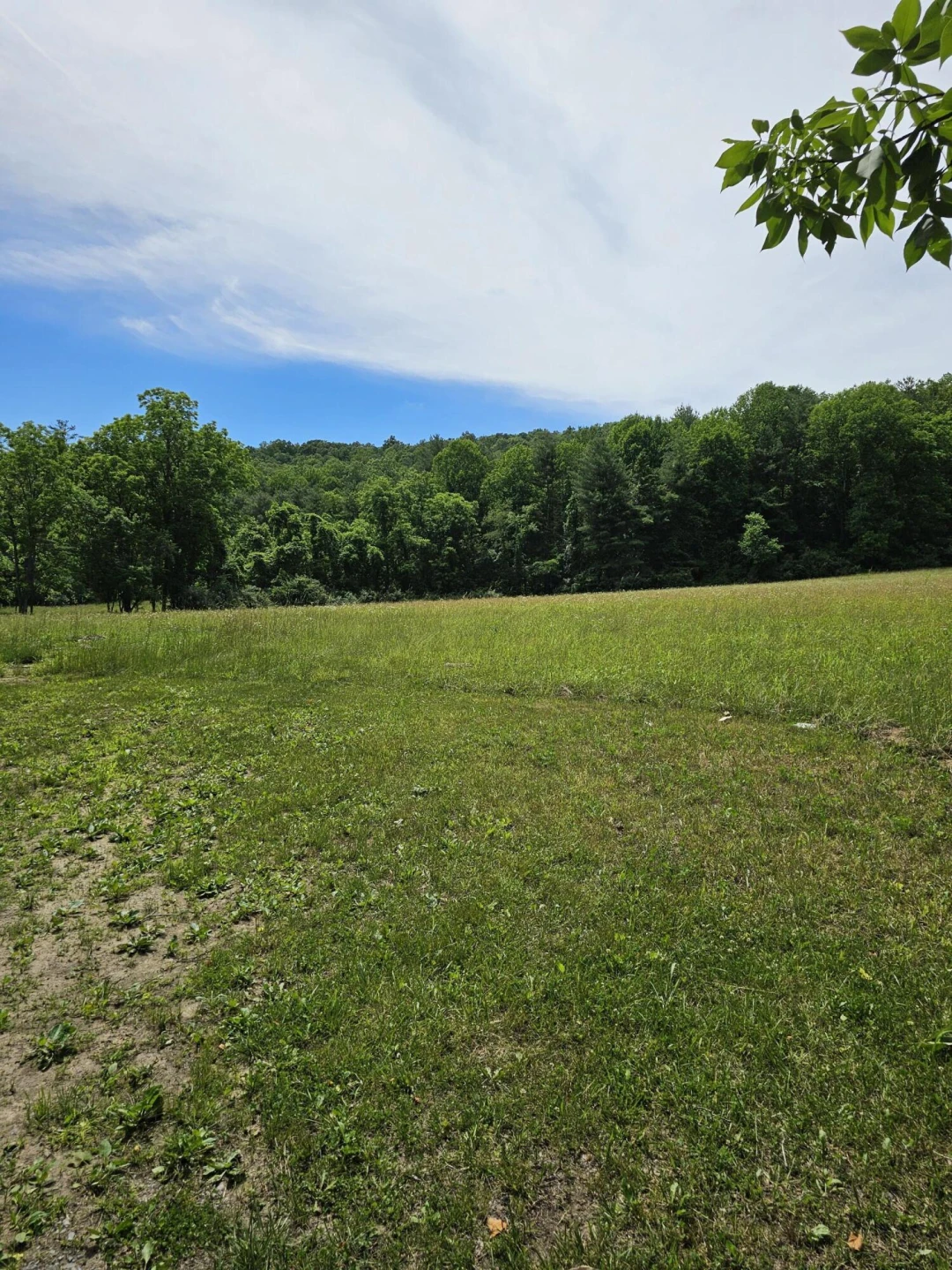 2105 Coles Mountain Rd - Photo 54