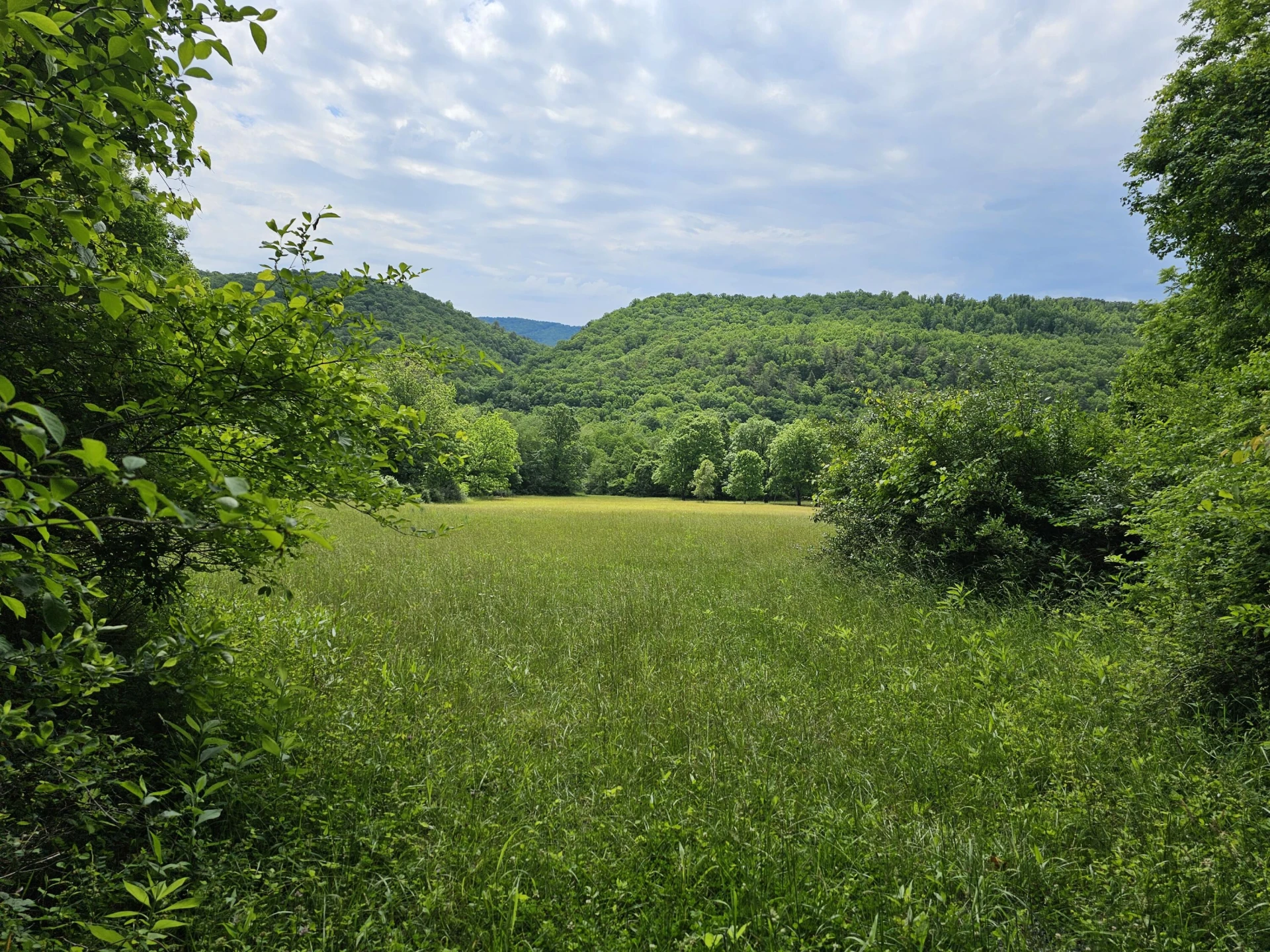 2105 Coles Mountain Rd - Photo 55