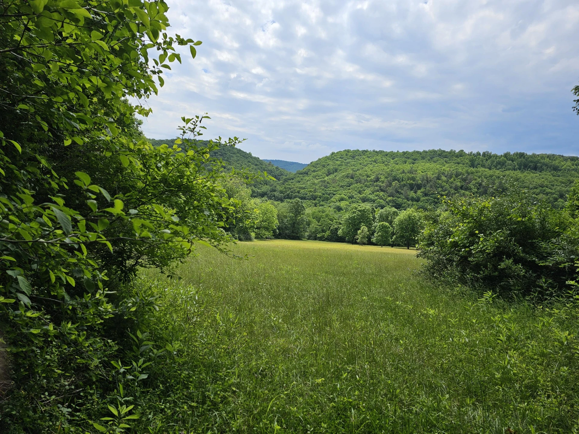 2105 Coles Mountain Rd - Photo 56
