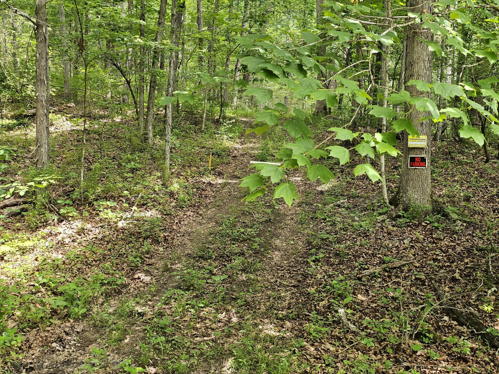 2105 Coles Mountain Rd - Photo 57
