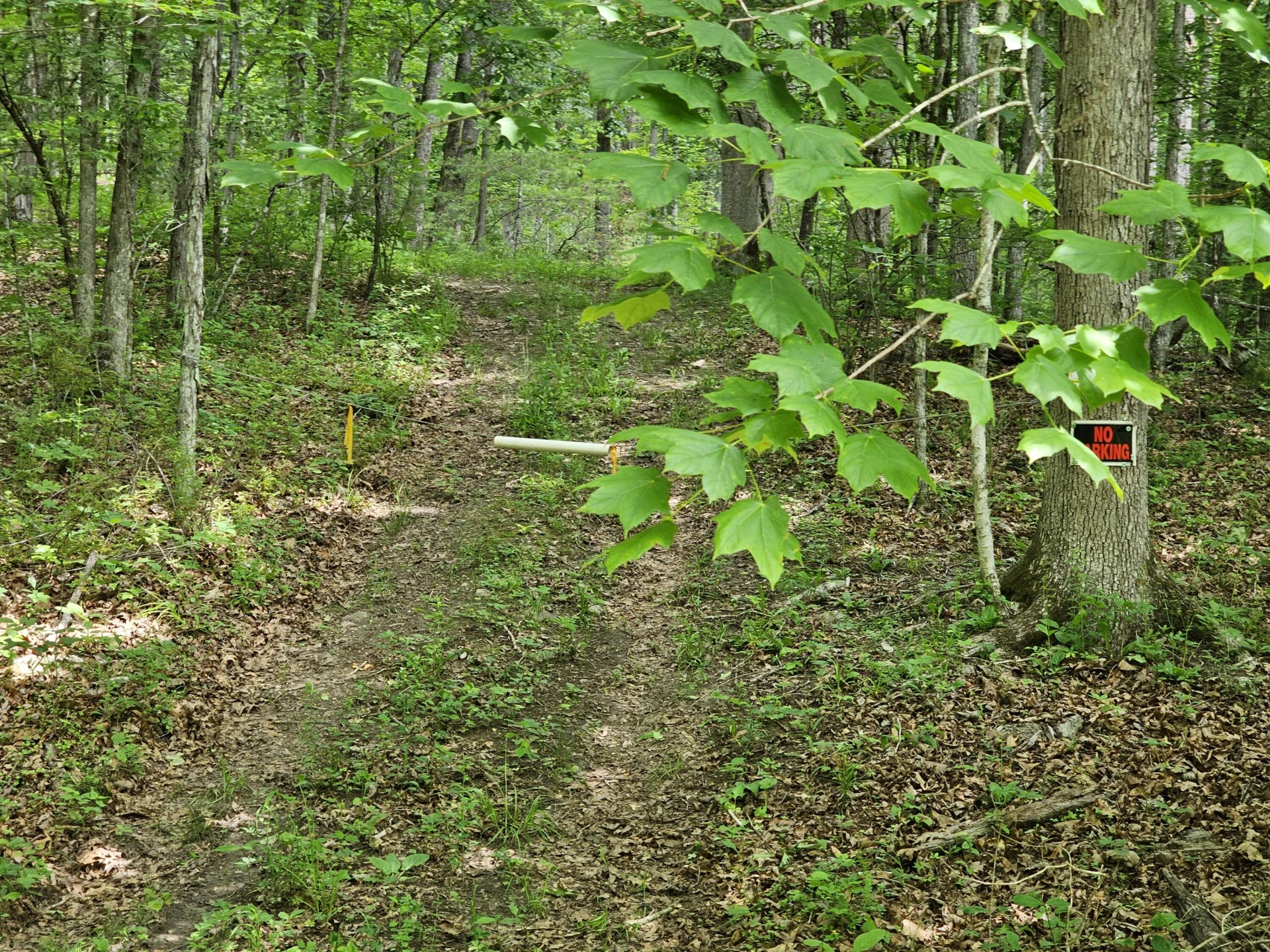 2105 Coles Mountain Rd - Photo 58