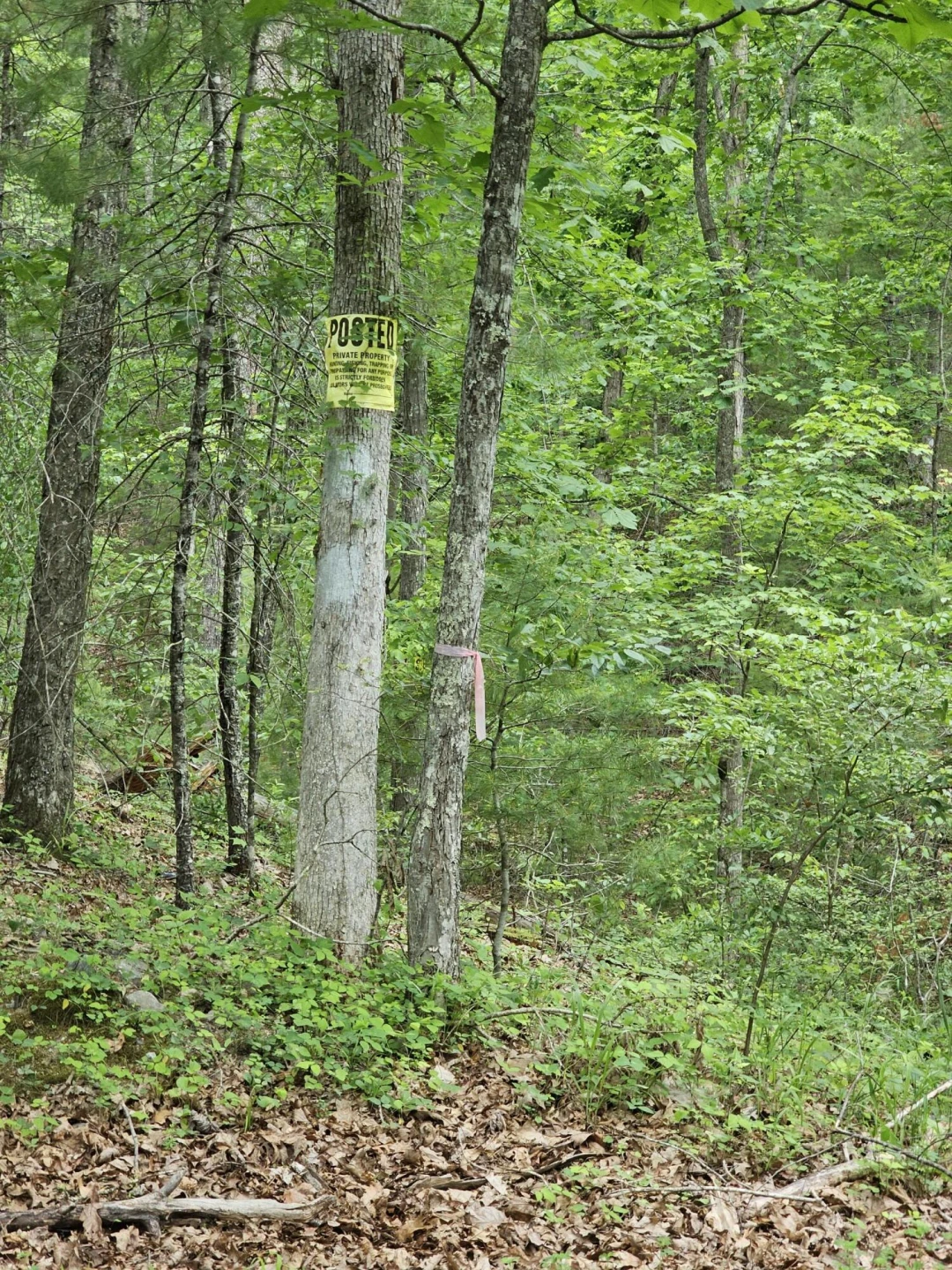 2105 Coles Mountain Rd - Photo 59