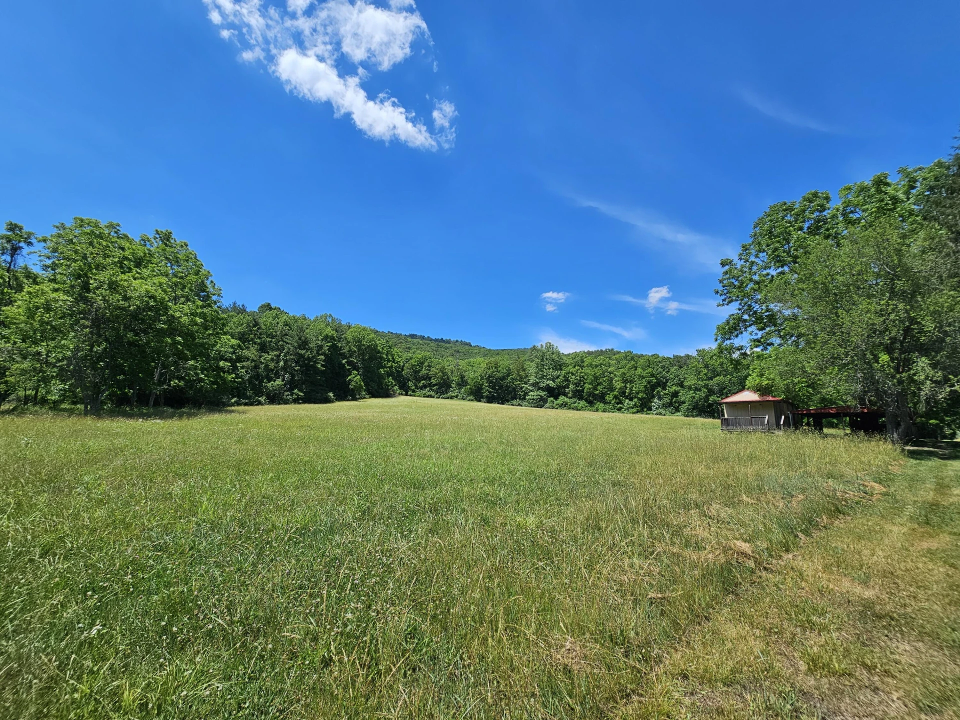 2105 Coles Mountain Rd - Photo 6