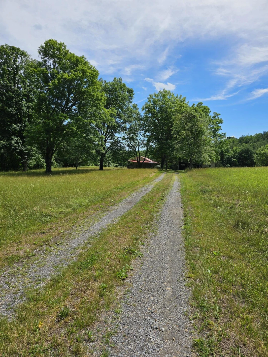 2105 Coles Mountain Rd - Photo 60
