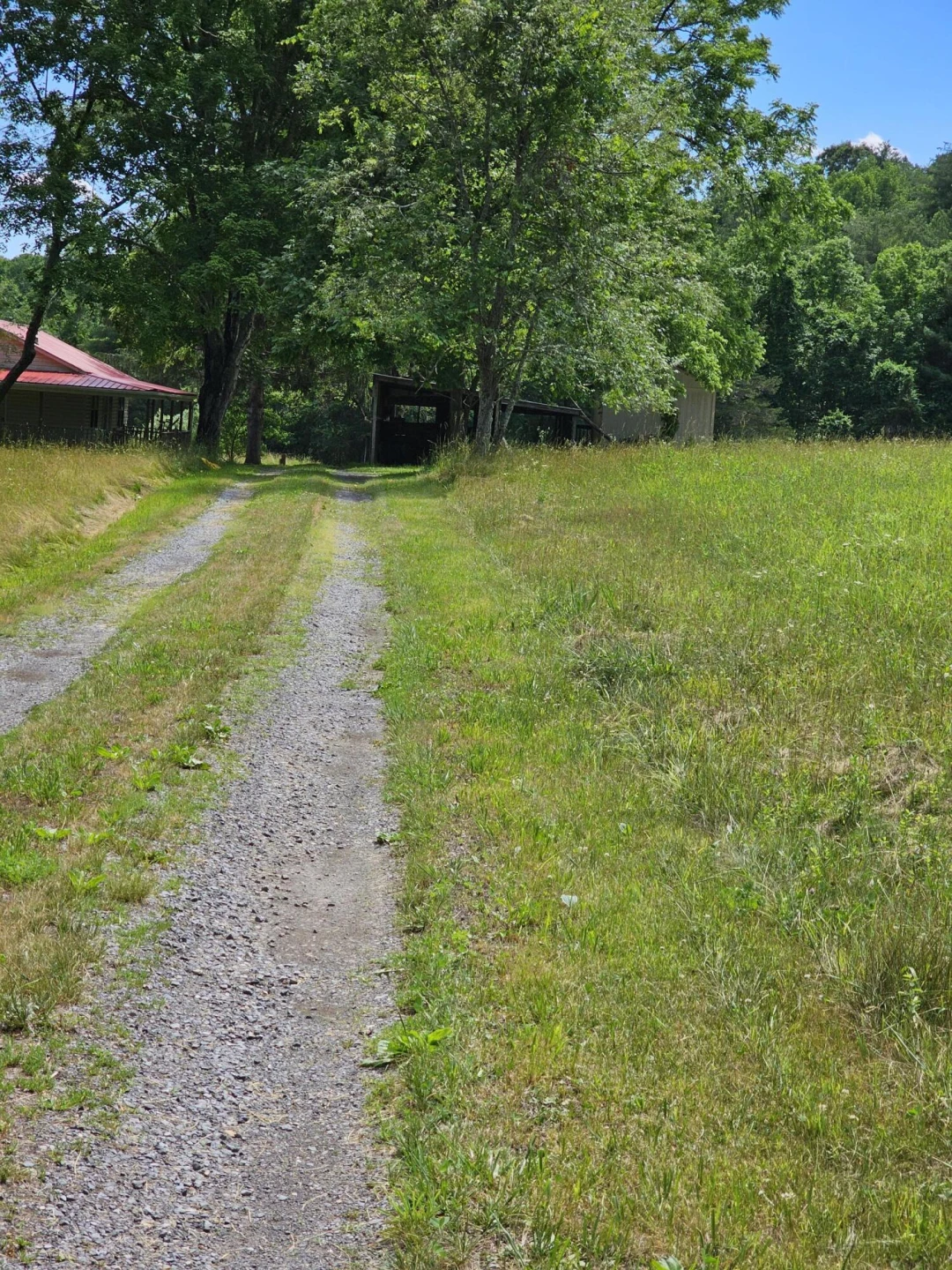 2105 Coles Mountain Rd - Photo 62
