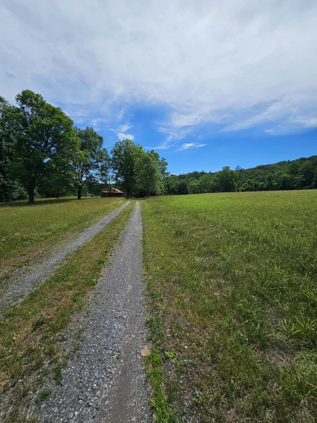 2105 Coles Mountain Rd - Photo 63