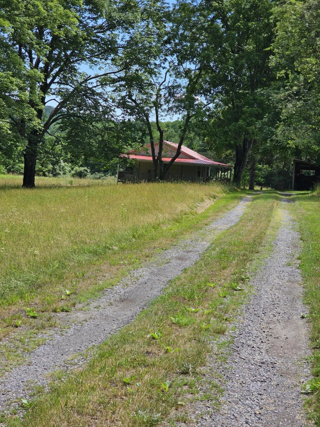2105 Coles Mountain Rd - Photo 64