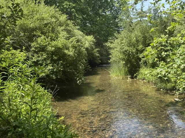 2561 Mill Creek Rd - Photo 3