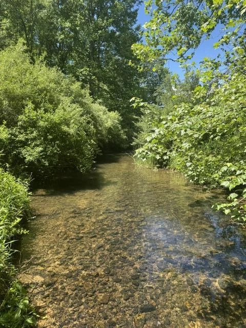 2561 Mill Creek Rd - Photo 49