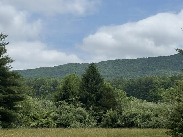 2561 Mill Creek Rd - Photo 5