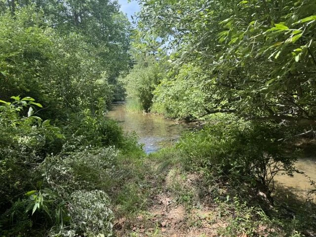 2561 Mill Creek Rd - Photo 51