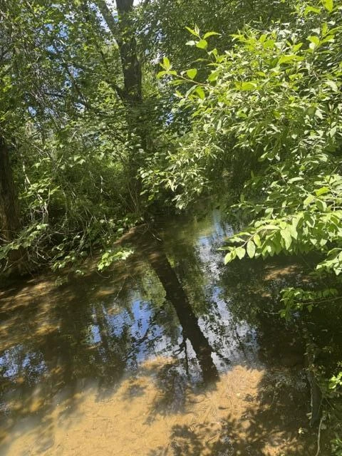 2561 Mill Creek Rd - Photo 52