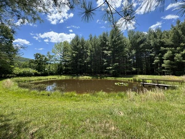 2561 Mill Creek Rd - Photo 53