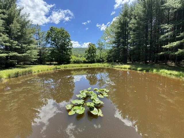 2561 Mill Creek Rd - Photo 54