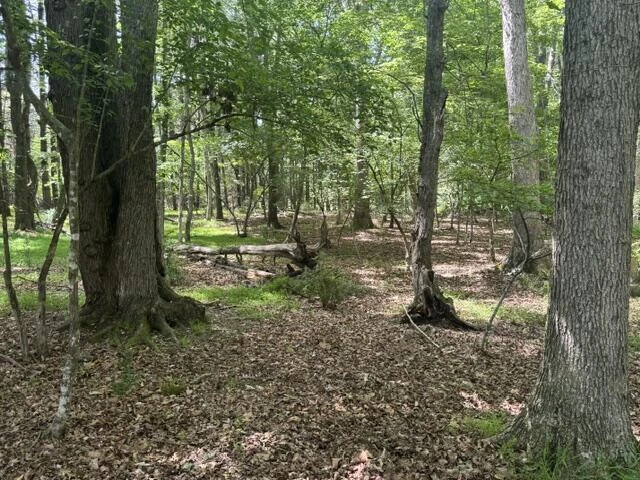 2561 Mill Creek Rd - Photo 66