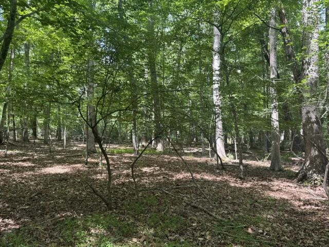 2561 Mill Creek Rd - Photo 67