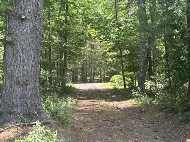 2561 Mill Creek Rd - Photo 70
