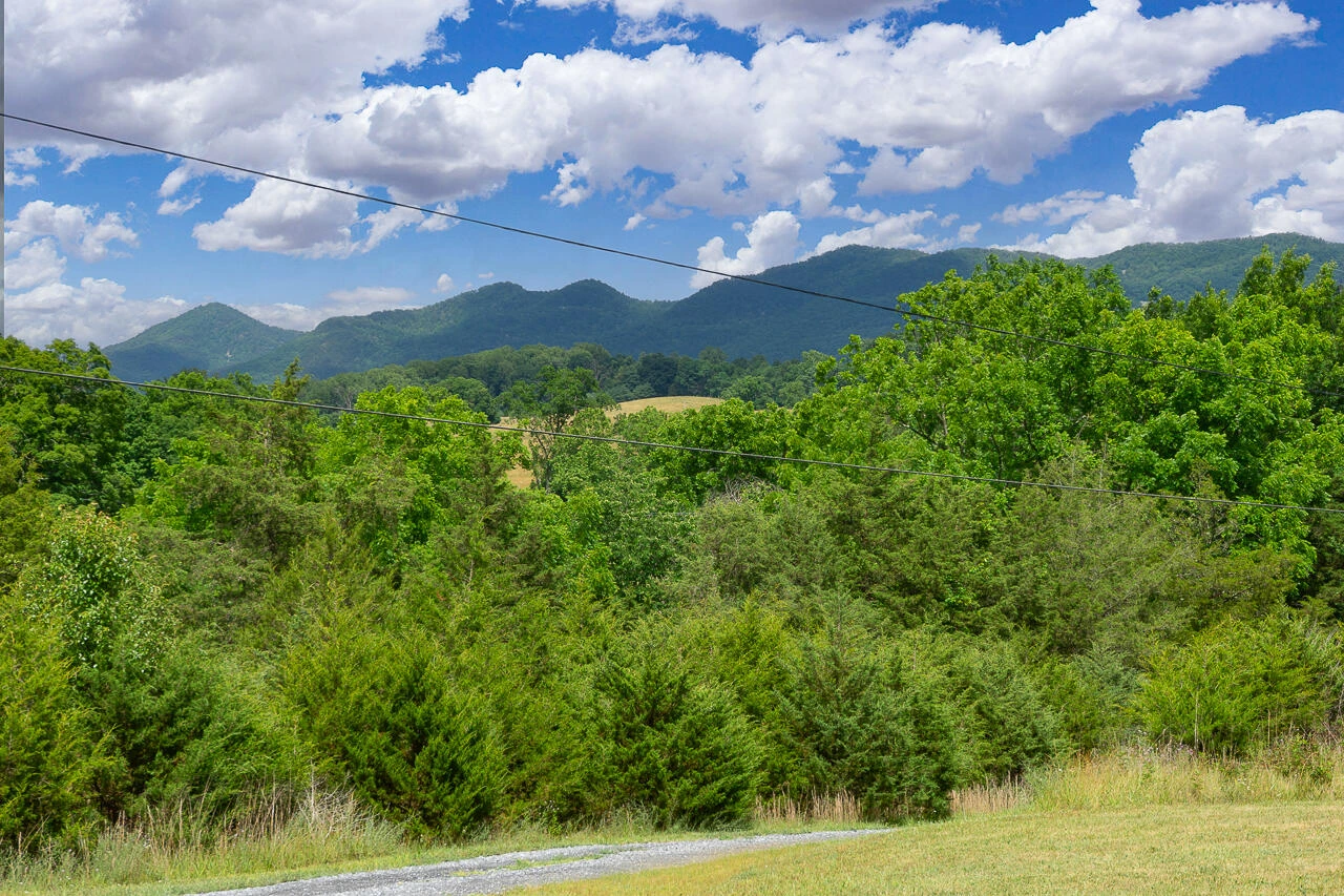 25 Asher Mountain Trl - Photo 38