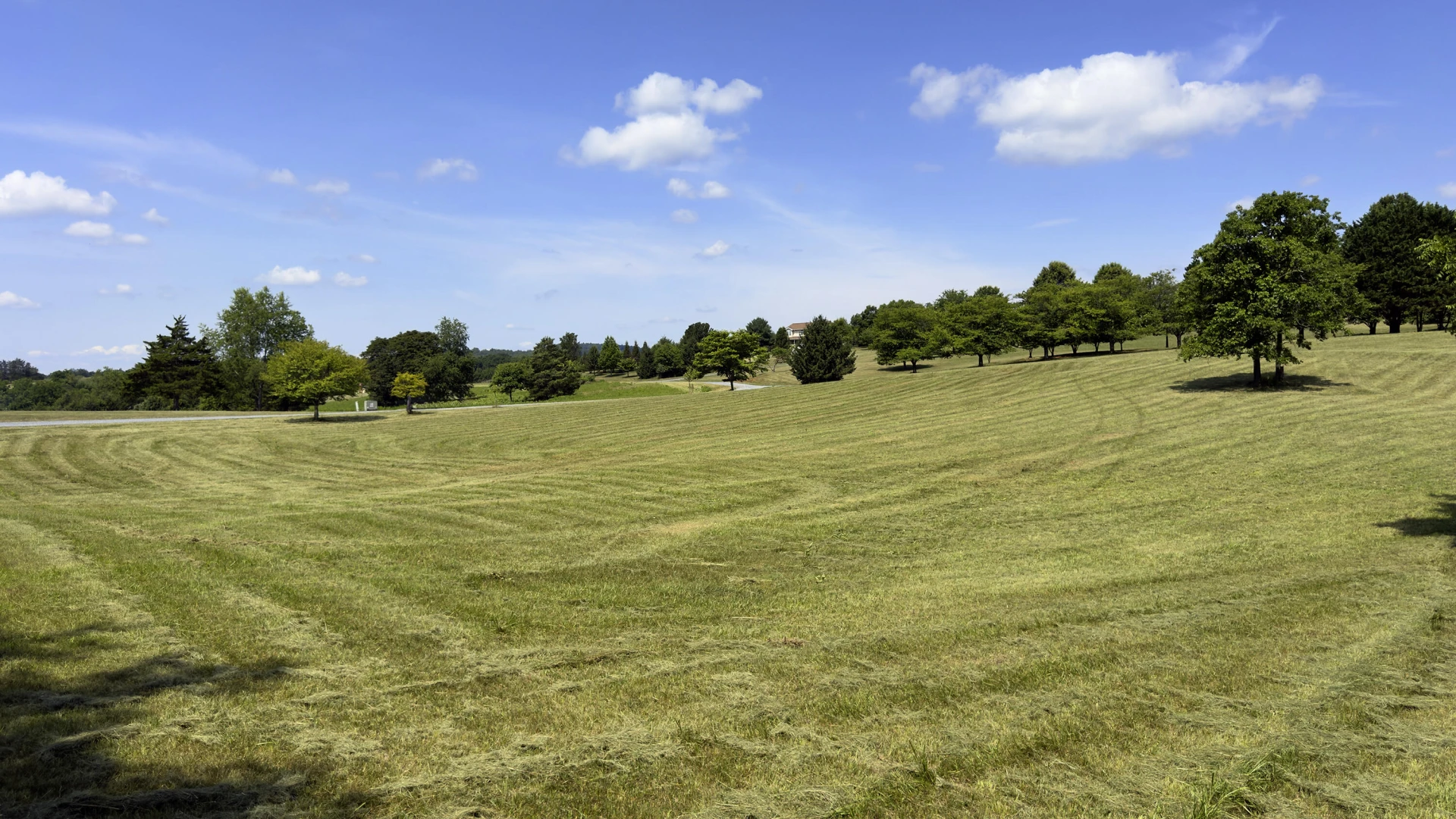 Lot 6 Ridgefield Way - Photo 10