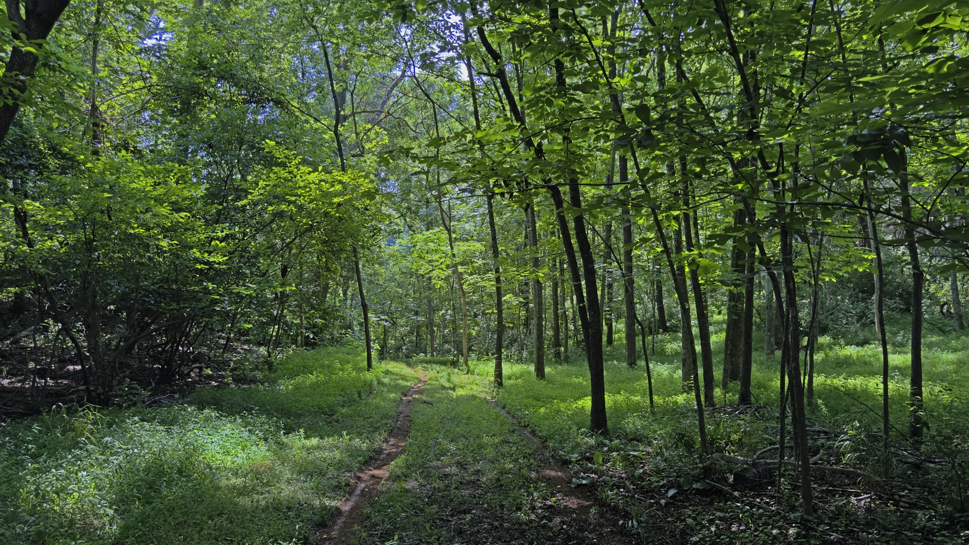 Lot 6 Ridgefield Way - Photo 11