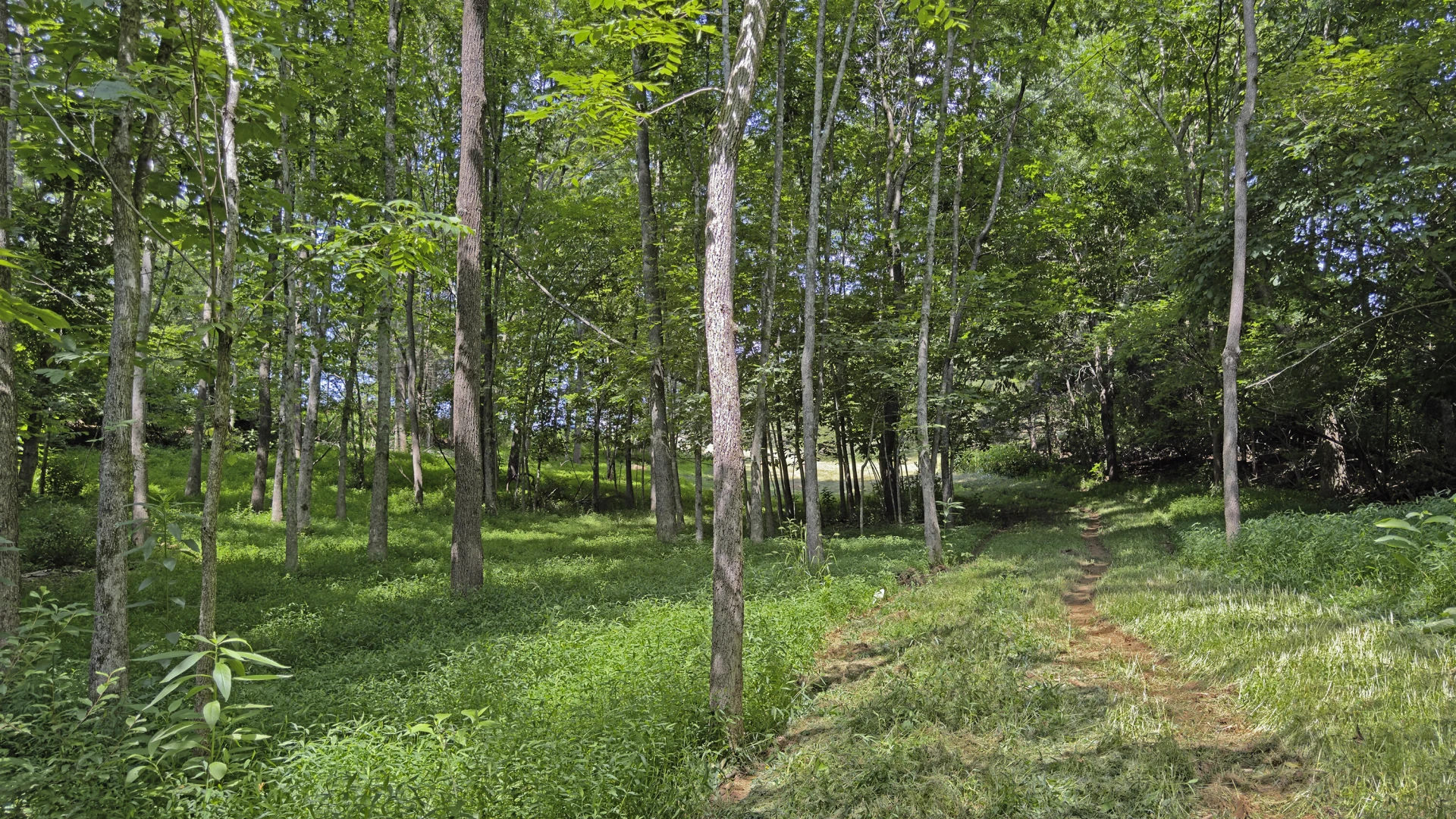 Lot 6 Ridgefield Way - Photo 12