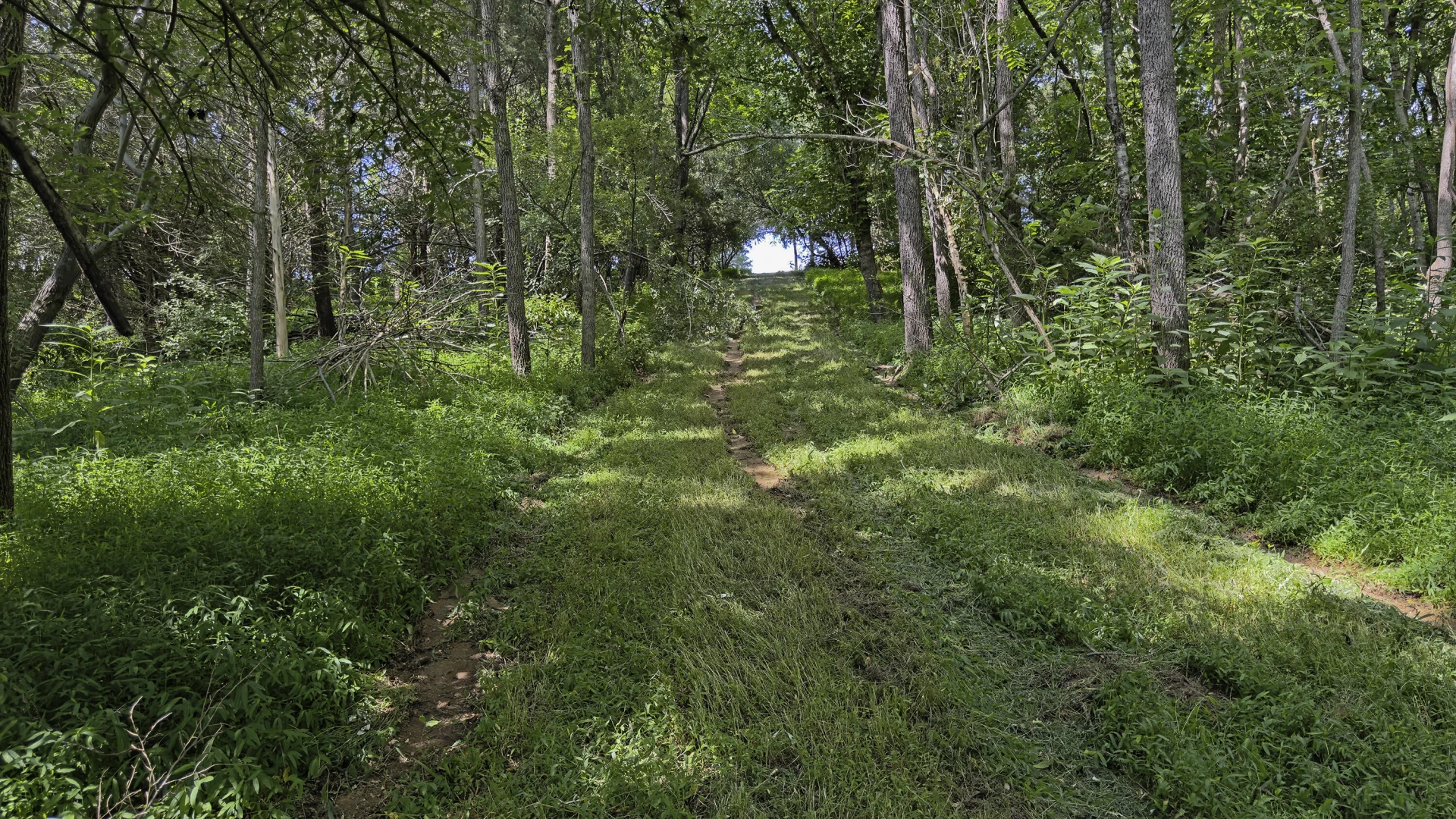Lot 6 Ridgefield Way - Photo 13