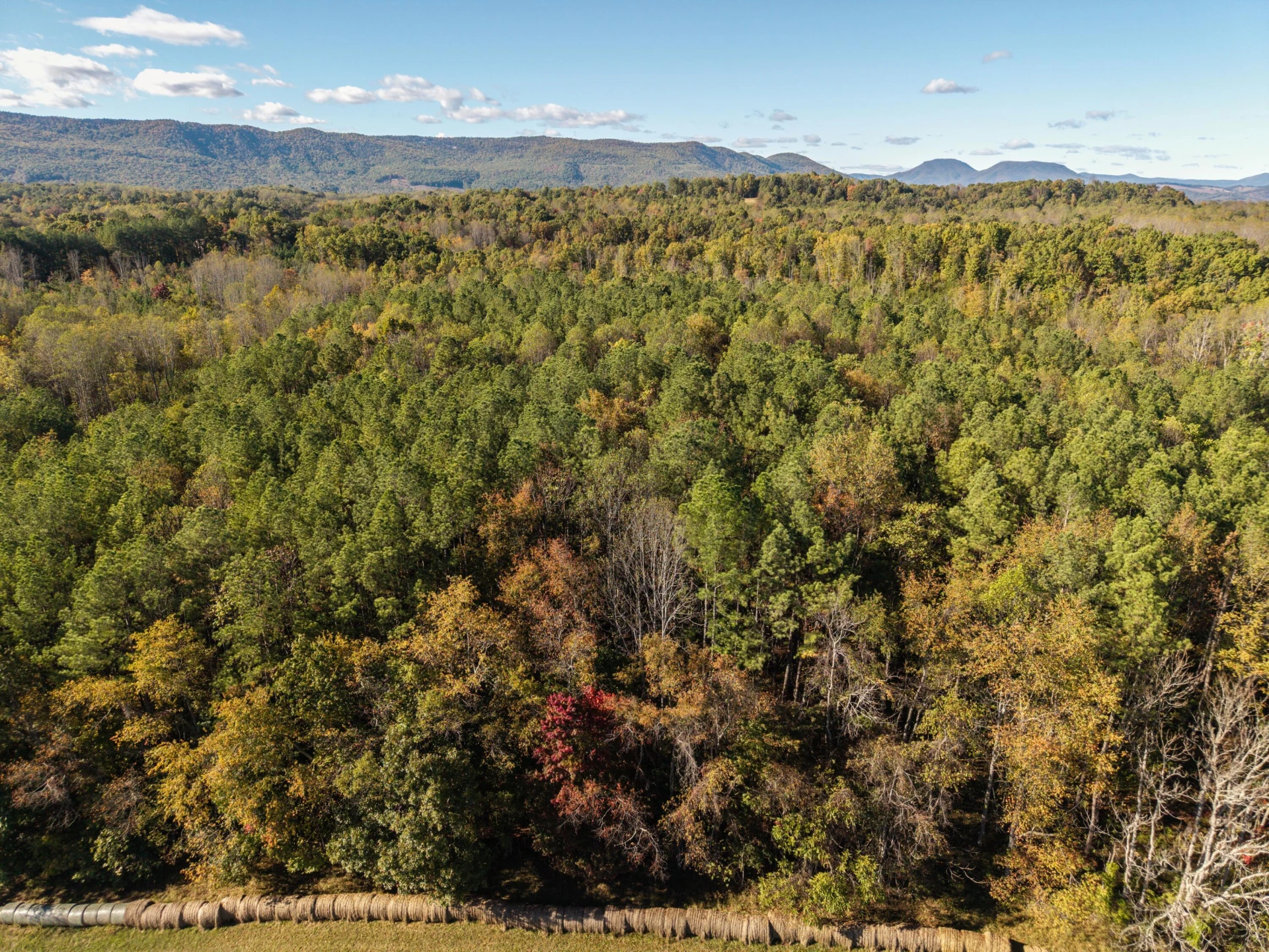 0 Red Clover Ln - Photo 22