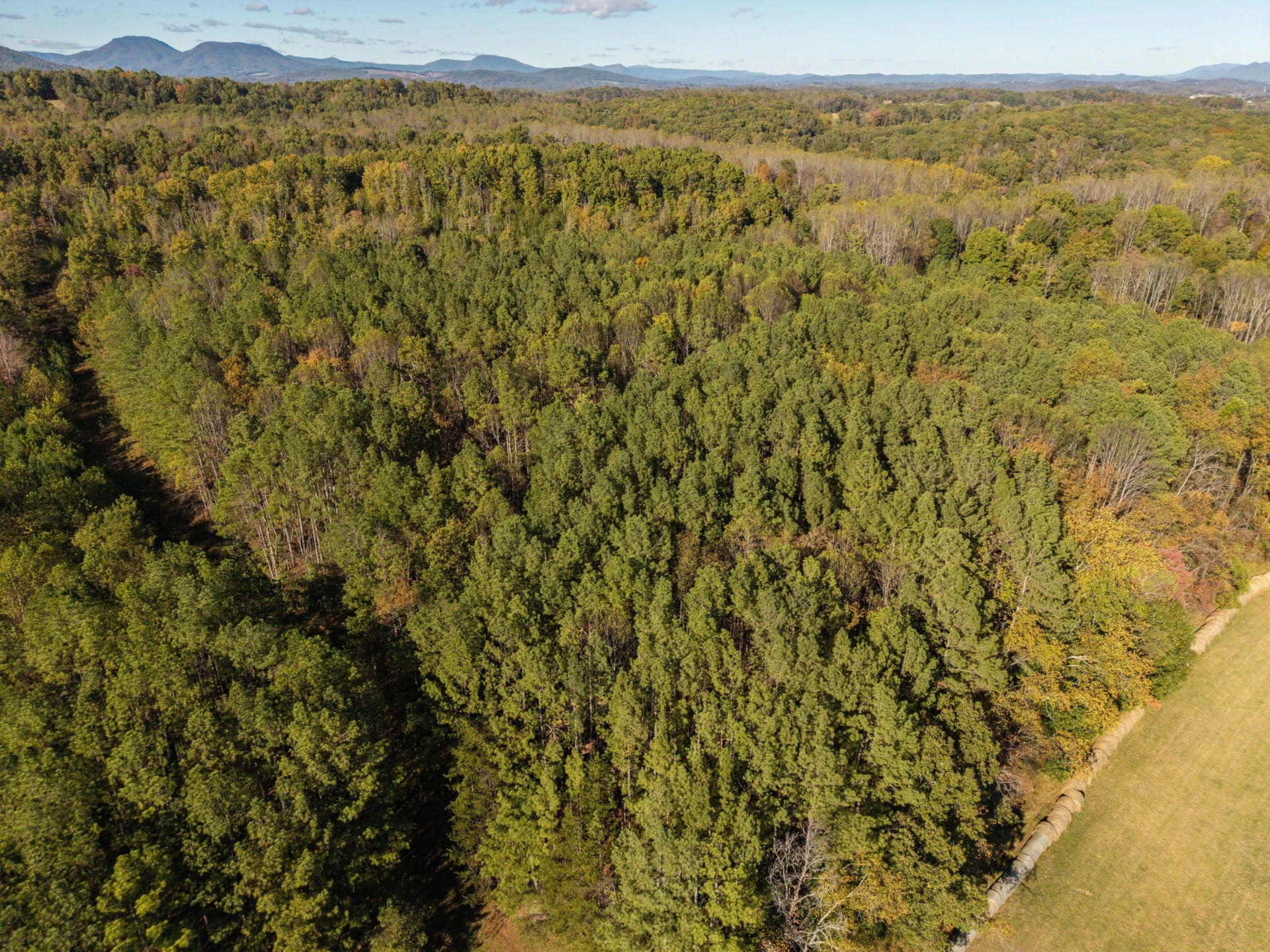0 Red Clover Ln - Photo 23