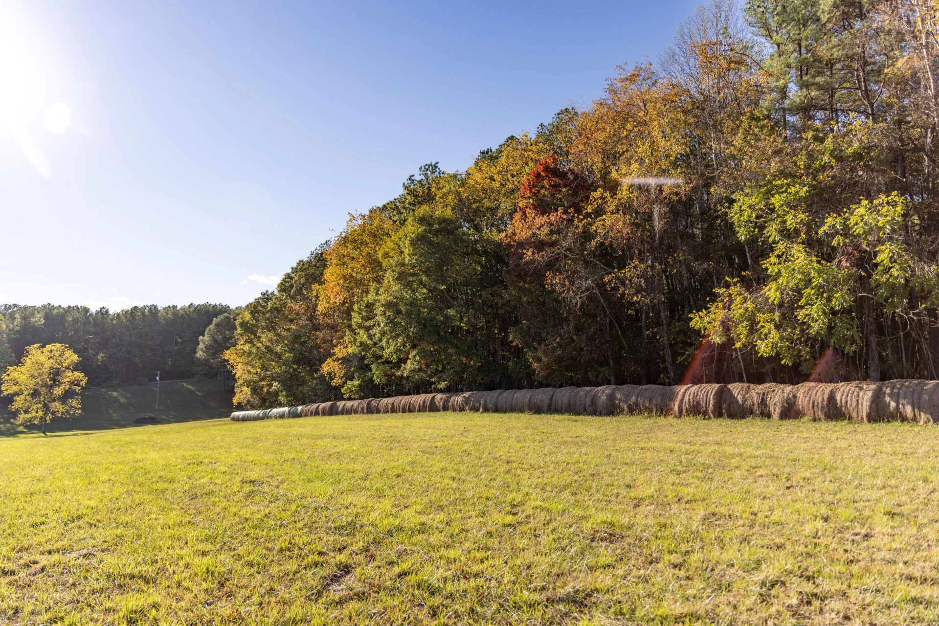 0 Red Clover Ln - Photo 5