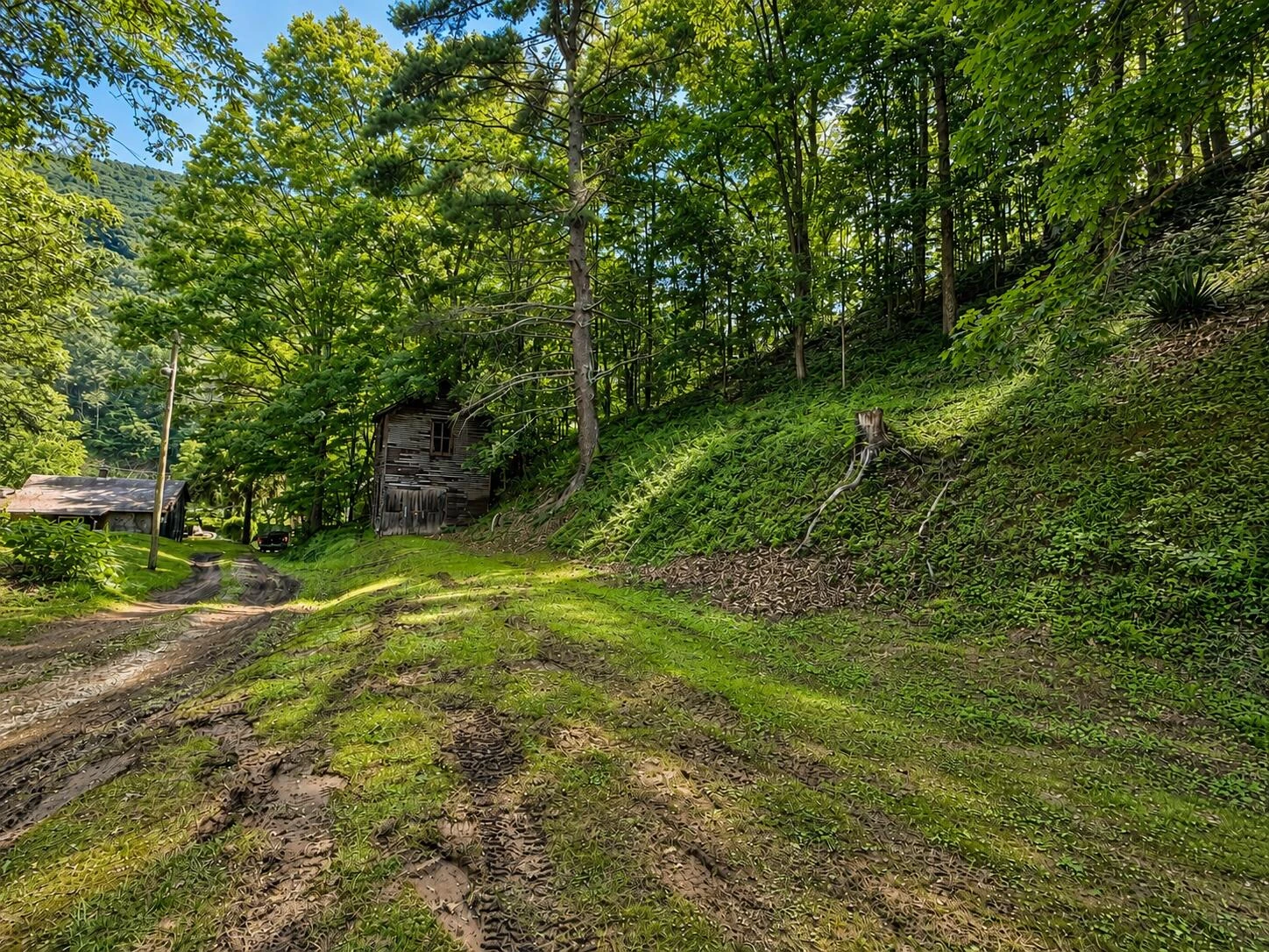 5118 Big Ridge Rd - Photo 12